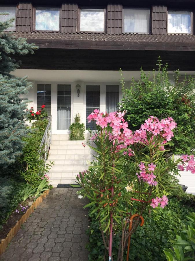 Anna Vendeghaz Eger Apartment Exterior photo